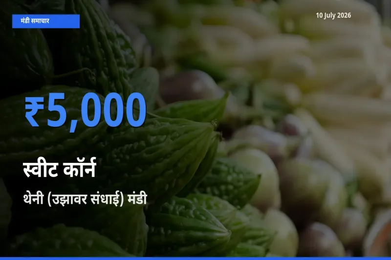 थेनी (उझावर संधाई) मंडी में स्वीट कॉर्न ₹5,000 पर पहुँचा – आज का सर्वोच्च भाव