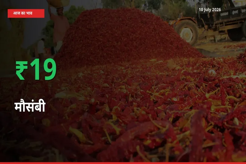 10 July अपडेट: मौसंबी के दाम मंडी में 19.14% उछले