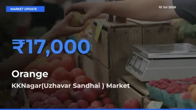 KKNagar(Uzhavar Sandhai ) Records Highest ₹17,000 Rate for Orange