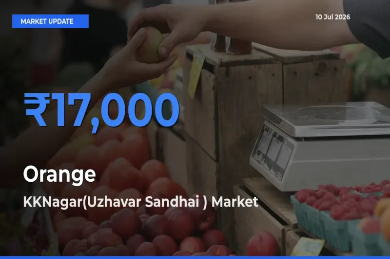 KKNagar(Uzhavar Sandhai ) Records Highest ₹17,000 Rate for Orange