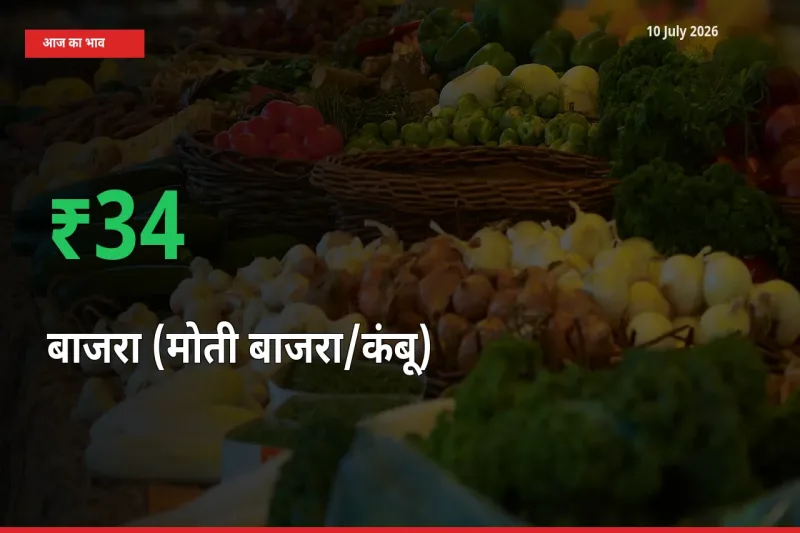 10 July अपडेट: बाजरा (मोती बाजरा/कंबू) के दाम मंडी में 34.37% उछले
