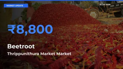 Thrippunithura Market Tops Beetroot Mandi Rates Today