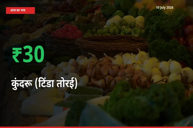स्थानीय मंडी में कुंदरू (टिंडा तोरई) के दाम अचानक 29.78% उछले, किसान सतर्क