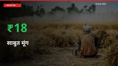 साबुत मूंग के दाम प्रमुख मंडी में 18.42% बढ़े, 24 घंटे में बड़ा बदलाव