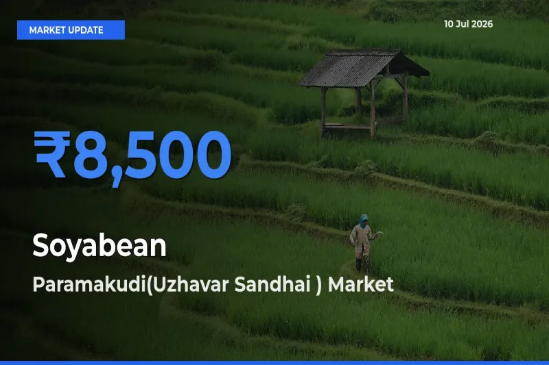 Paramakudi(Uzhavar Sandhai ) Tops Soyabean Mandi Rates Today