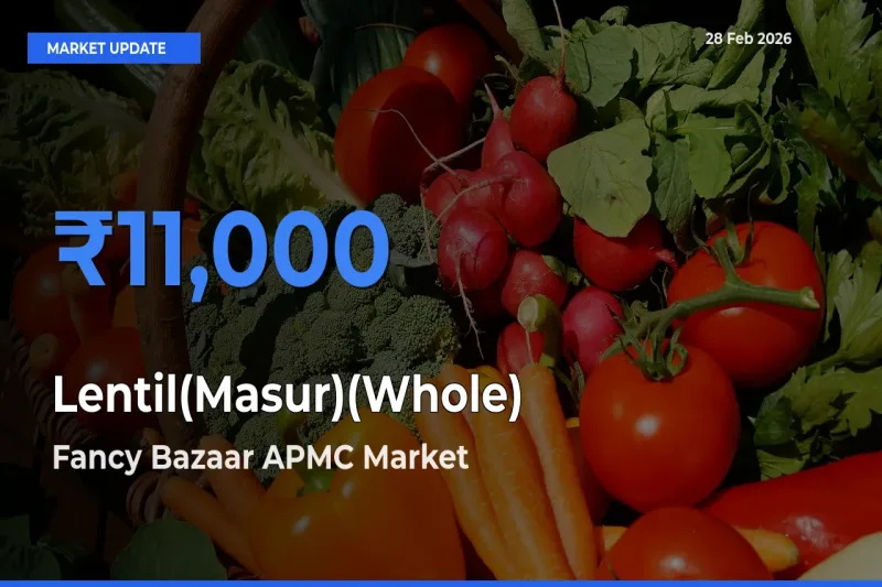 Fancy Bazaar APMC Tops Lentil(Masur)(Whole) Mandi Rates Today