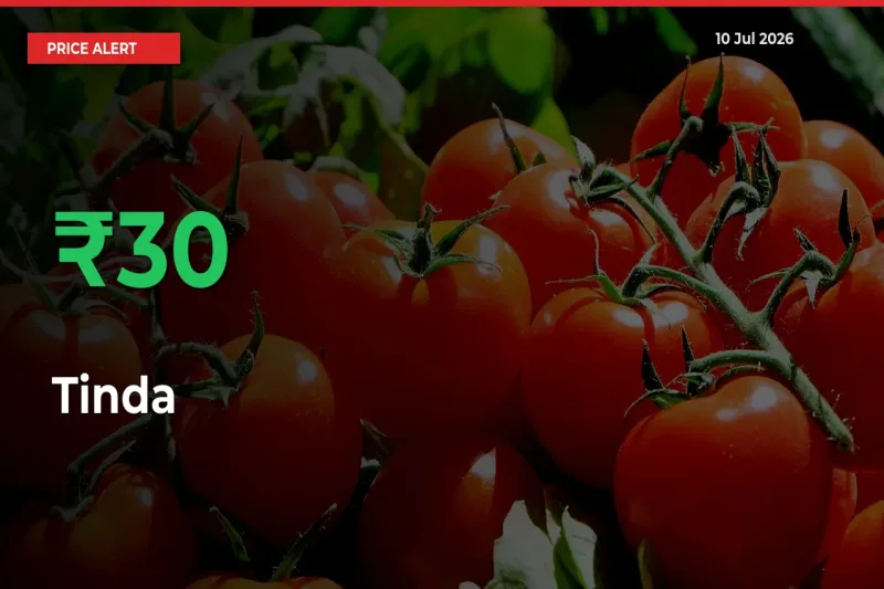 Tinda Mandi Rate Today: Prices Jump 29.57% at Market