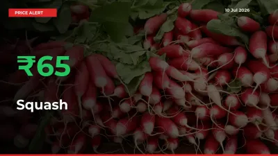 Sharp Jump! Squash Prices Climb 65.16% in 24 Hours at Key Mandis