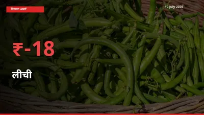 अचानक झटका! मंडी में लीची के दाम 18.18% टूटे