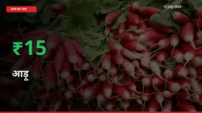 तेज़ तेजी! मंडी में आड़ू के दाम 15.38% चढ़े