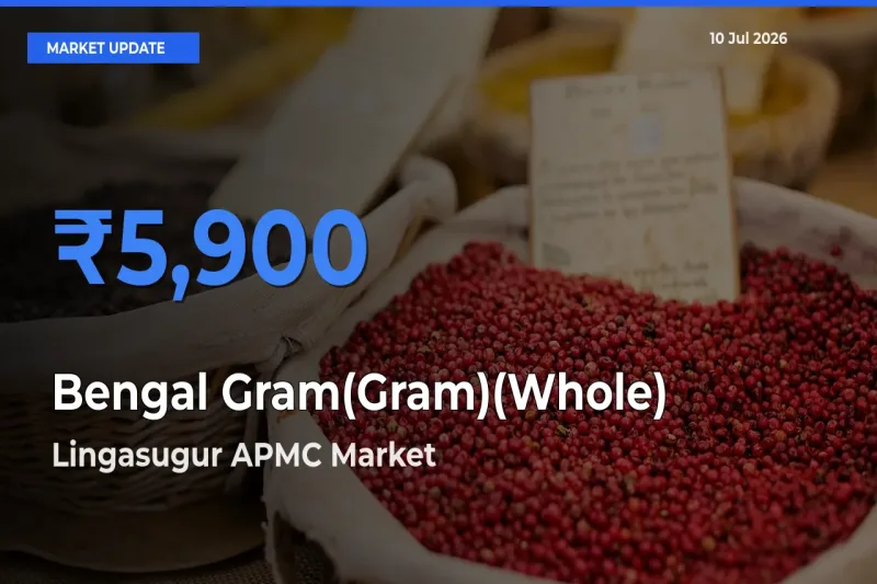 Lingasugur APMC Emerges as Top Mandi for Bengal Gram(Gram)(Whole) Prices Today