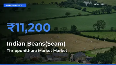 Market Watch: Thrippunithura Market Becomes Top Mandi for Indian Beans(Seam)