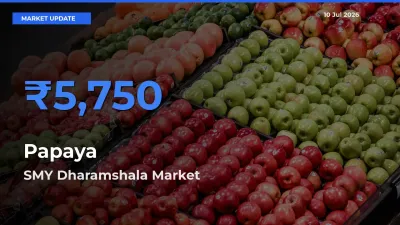 Papaya Mandi Rate Today: SMY Dharamshala Tops the List