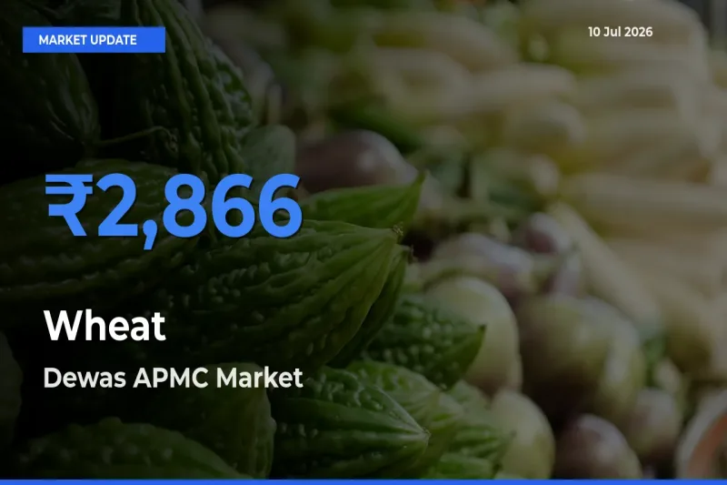 Dewas APMC Tops Wheat Rates – July 10 Market Update