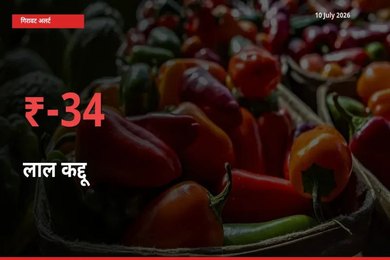 बाज़ार संकेत: लाल कद्दू के भाव मंडी में 34.12% नीचे