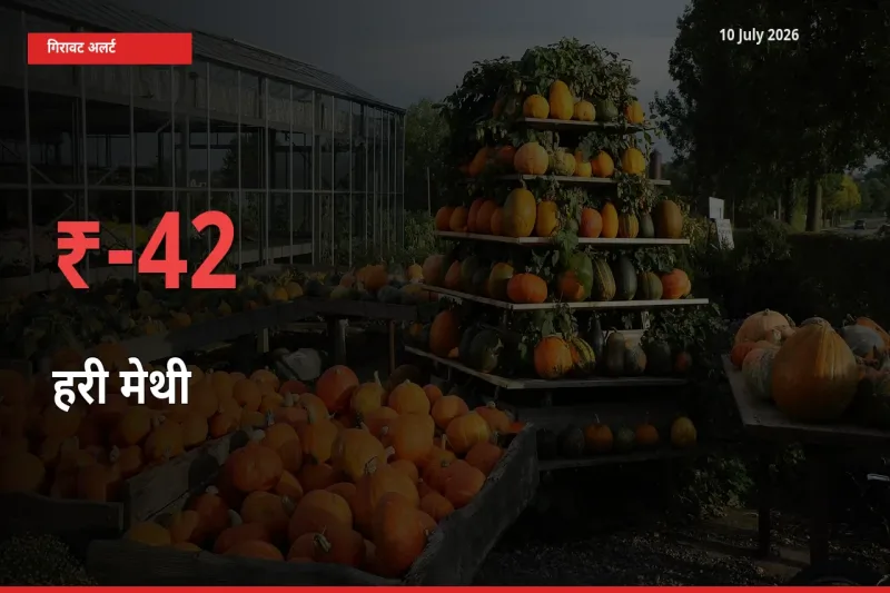आज का मंडी भाव: हरी मेथी के दाम मंडी में 41.57% नीचे