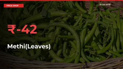 Why Methi(Leaves) Prices Fell 41.57% in a Day at Mandis