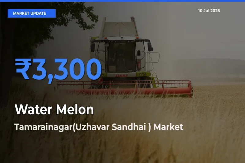 Tamarainagar(Uzhavar Sandhai ) Emerges as Top Mandi for Water Melon Prices Today