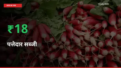 पत्तेदार सब्जी 17.65% उछला, मंडी