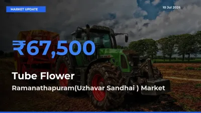 Ramanathapuram(Uzhavar Sandhai ) Records Highest ₹67,500 Rate for Tube Flower