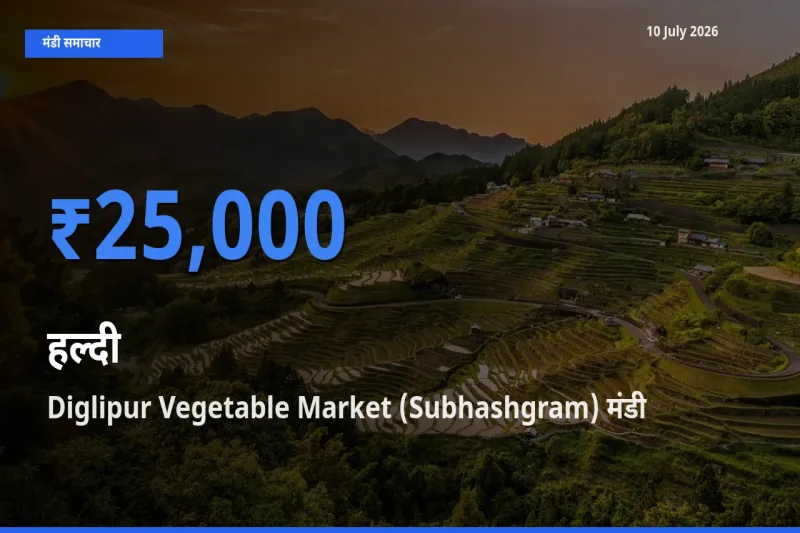 बाज़ार संकेत: Diglipur Vegetable Market (Subhashgram) बना हल्दी के लिए आज की टॉप मंडी