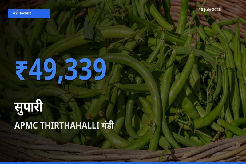 आज सुपारी के सबसे ज़्यादा दाम APMC THIRTHAHALLI मंडी में दर्ज