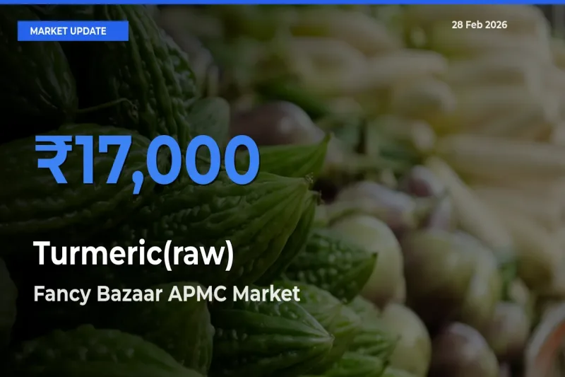 Farmers Prefer Fancy Bazaar APMC as Turmeric(raw) Hits Highest Rate