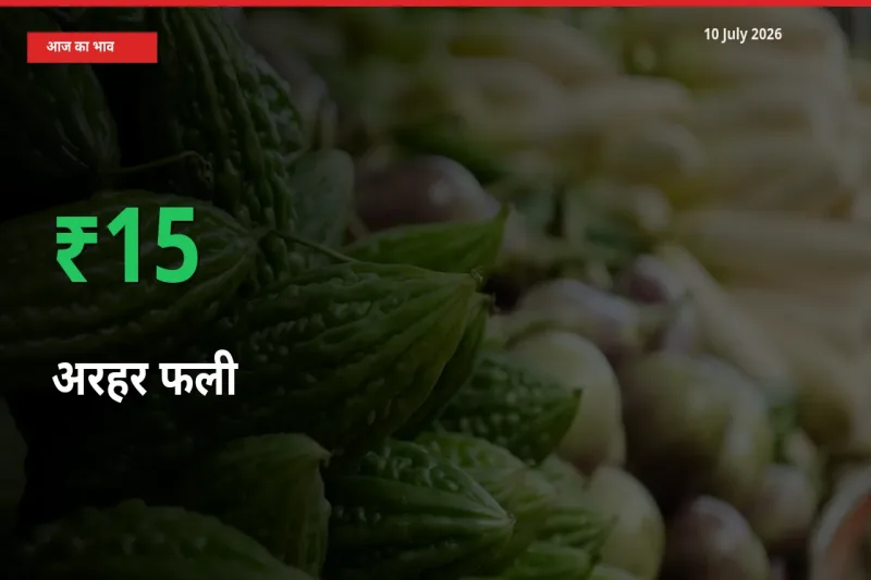 स्थानीय मंडी में अरहर फली के दाम अचानक 15.47% उछले, किसान सतर्क