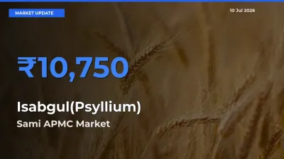 Farmers Prefer Sami APMC as Isabgul(Psyllium) Hits Highest Rate
