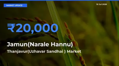 Thanjavur(Uzhavar Sandhai ) Offers ₹20,000 – Highest Jamun(Narale Hannu) Rate Today
