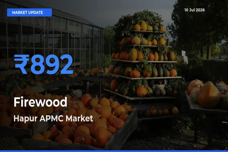 Hapur APMC Records Highest ₹892 Rate for Firewood