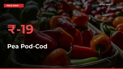 Pea Pod-Cod Prices Drop 18.96% – July 10 Market Update from Mandis