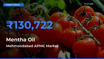 Mehmoodabad APMC Tops Mentha Oil Mandi Rates Today