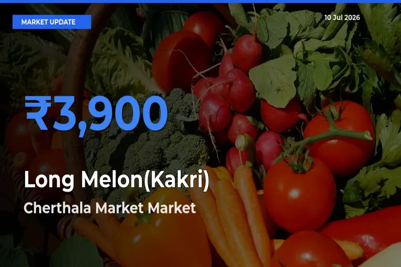 Long Melon(Kakri) Mandi Rate Today: Cherthala Market Tops the List