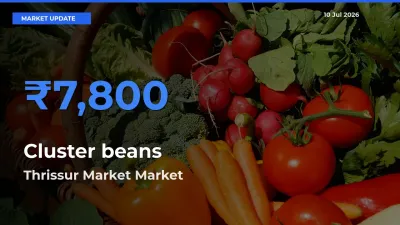 Thrissur Market Tops Cluster beans Mandi Rates Today