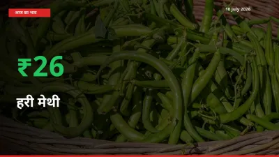 10 July अपडेट: हरी मेथी के दाम मंडी में 26.4% उछले