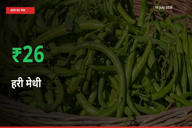 10 July अपडेट: हरी मेथी के दाम मंडी में 26.4% उछले