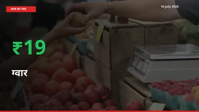 अचानक तेजी! मंडी में ग्वार के दाम 18.93% चढ़े