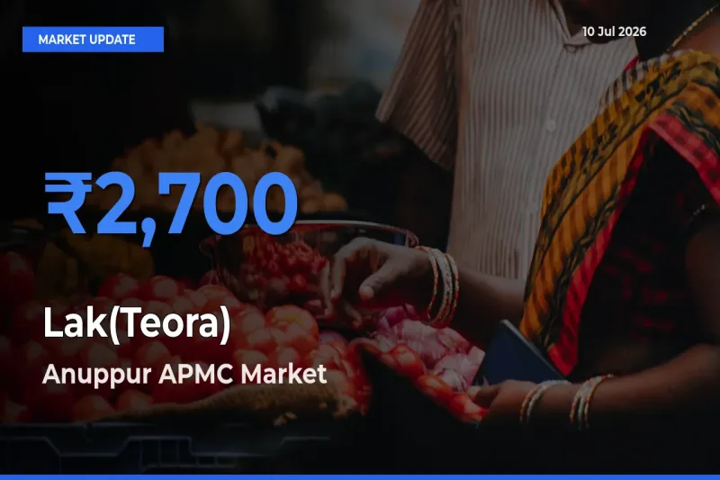 Lak(Teora) Mandi Rate Today: Anuppur APMC Tops the List