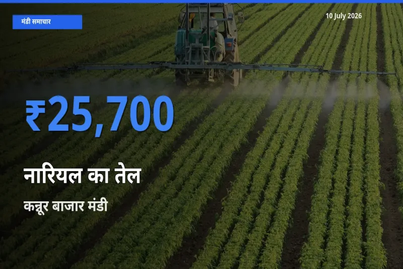 आज नारियल का तेल के सबसे ज़्यादा दाम कन्नूर बाजार मंडी में दर्ज