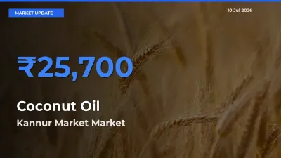 Top Performer! Kannur Market Offers Best Coconut Oil Price Today