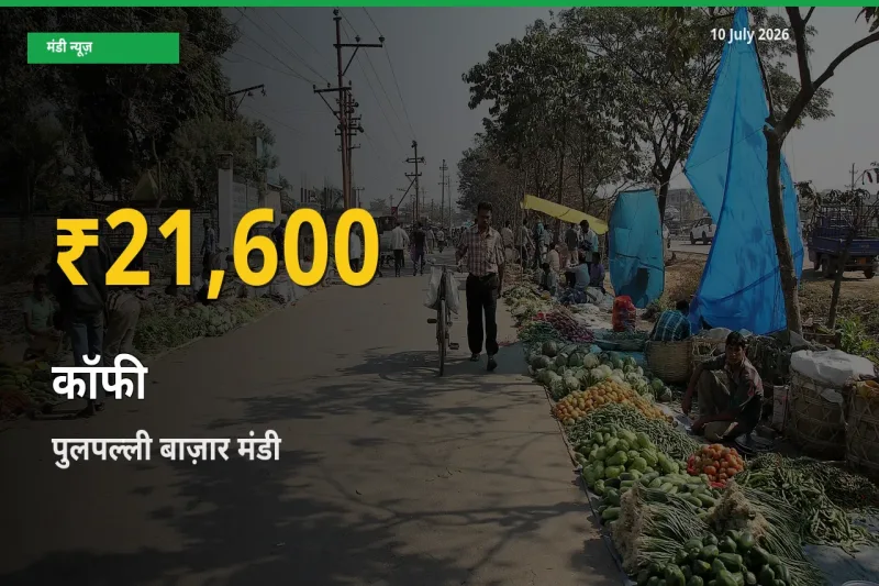 रिकॉर्ड तेज़ी! पुलपल्ली बाज़ार में कॉफी ₹21,600 पर पहुँचा