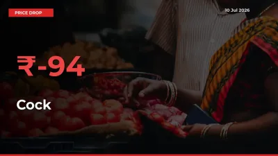 Cock Falls 93.81% at Mandis