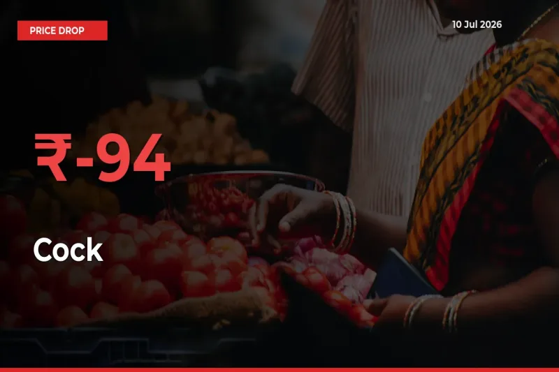 Cock Falls 93.81% at Mandis