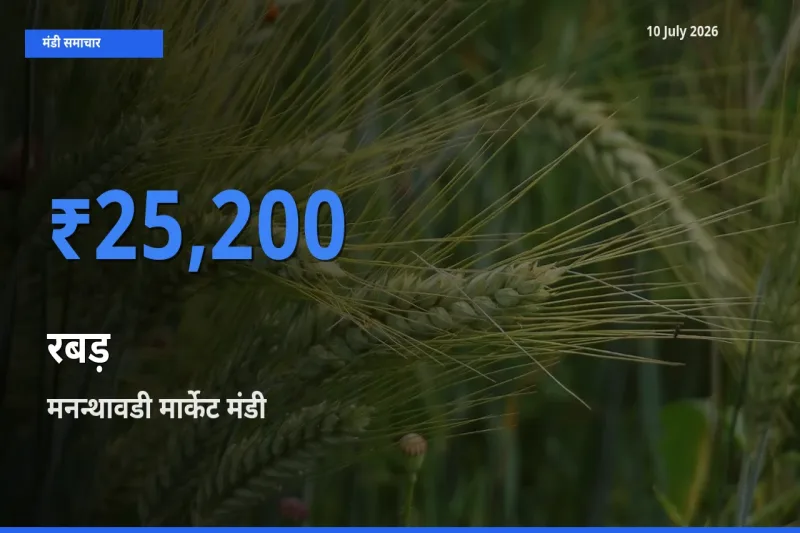 टॉप मंडी बना मनन्थावडी मार्केट! रबड़ के सबसे ऊँचे दाम यहीं दर्ज