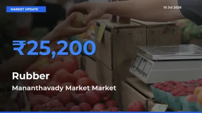 Mananthavady Market Tops Rubber Mandi Rates Today
