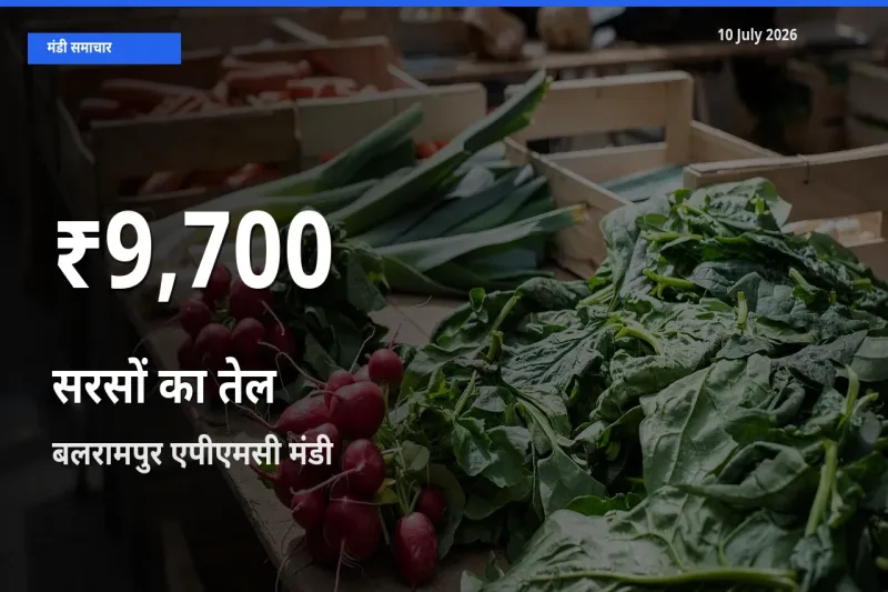 सरसों का तेल के दामों में गिरावट, बलरामपुर एपीएमसी में 30 दिन का न्यूनतम भाव