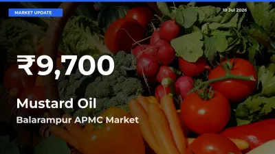 Big Drop! Mustard Oil Slides to 30-Day Low at Balarampur APMC