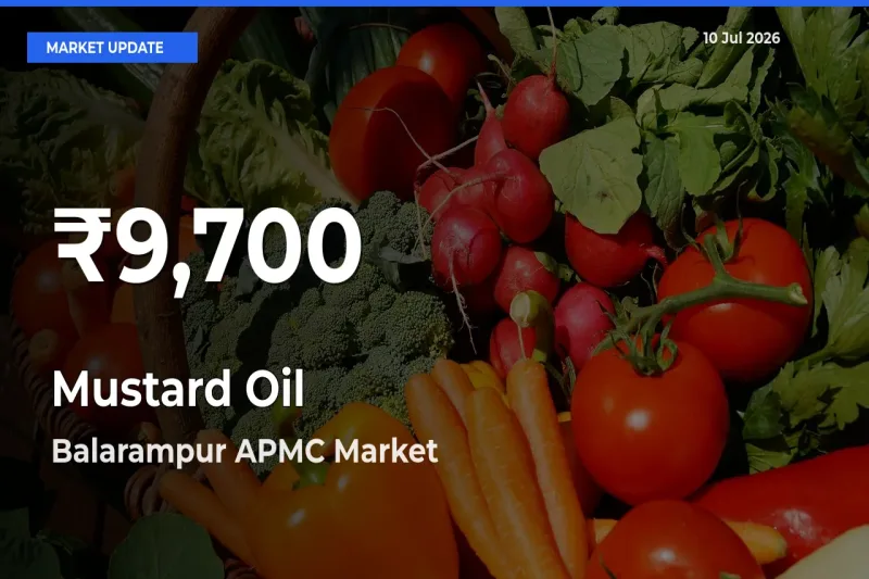 Big Drop! Mustard Oil Slides to 30-Day Low at Balarampur APMC