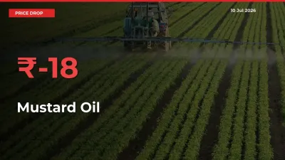 Farmers Alert as Mustard Oil Prices Slide 18.17% in Local Mandis